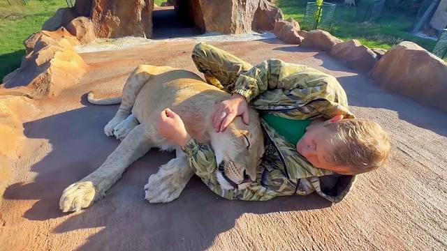 我和少年狮子一起躺在荣耀石上晒太阳！