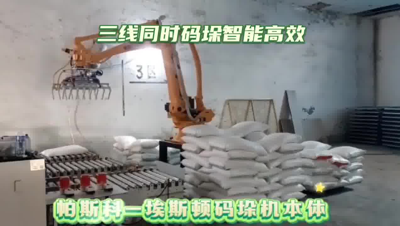帕斯科码垛机本体三线同码智能高效