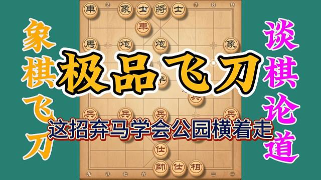 绝品弃马飞刀学会了，公园你就可以横着走了，拿走不谢