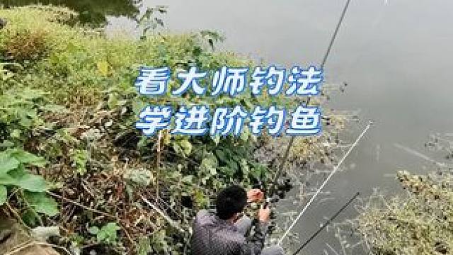 大师钓法 #2024dou来钓鱼 #爱生活爱钓鱼 #钓鱼人 #钓鱼才是抖