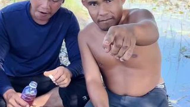 东南亚矮子 #东南亚矮子 #东南亚八面佛 #我的乡村生活