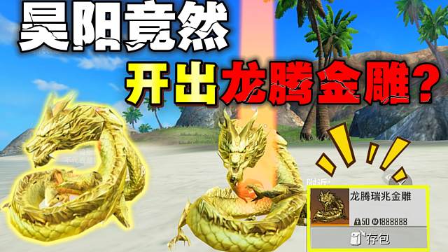 昊阳竟然开出龙腾金雕啦，真的太帅了！