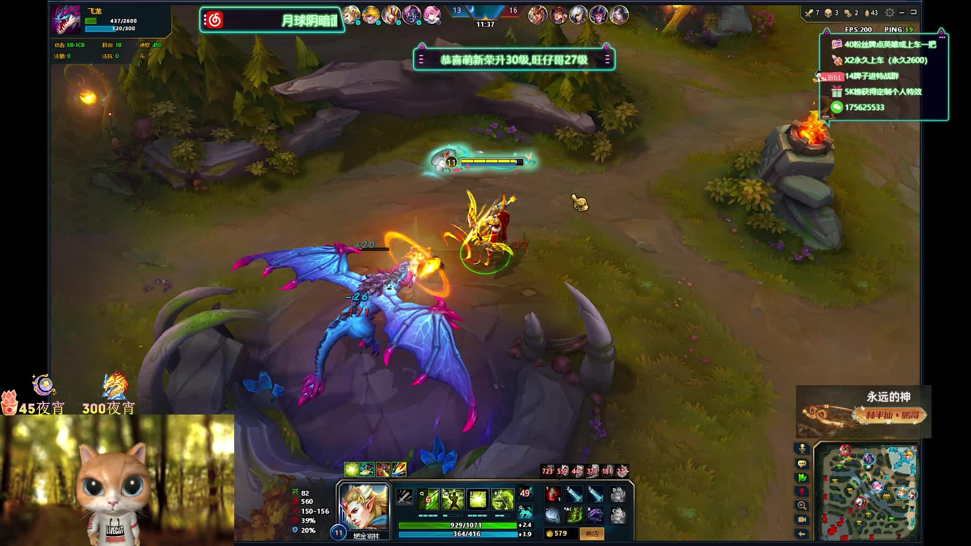 新版本ACD（精灵王子）