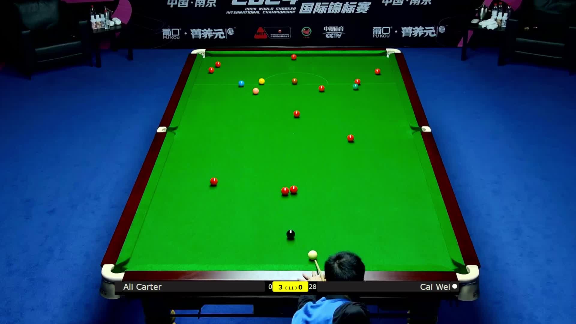 阿里·卡特VS蔡伟 2024斯诺克国锦赛 清流
