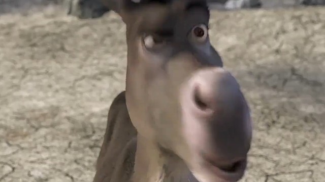 我真的太喜欢上班了