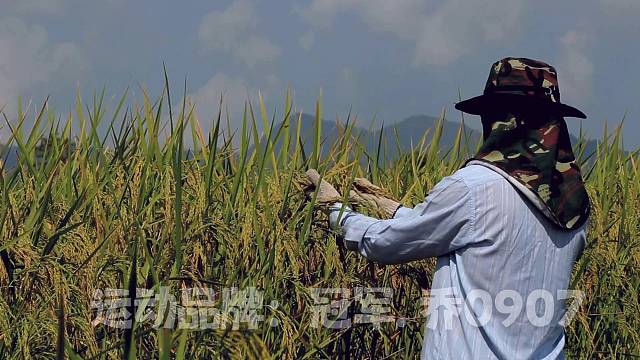 冠军乔0907为热爱记录美好生活