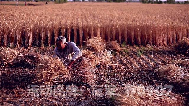 冠军乔0907为热爱记录美好生活