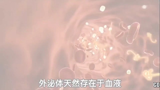 外泌体-细胞传递信使