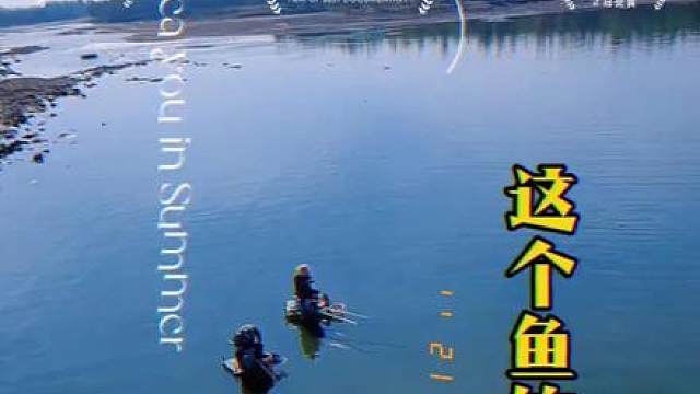 #2024dou来钓鱼 #沉浸式体验秋冬钓鱼的快乐