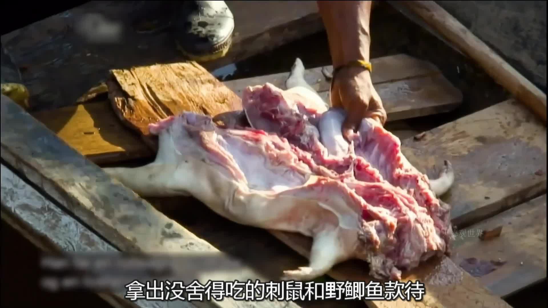 哀牢山和亚马逊流域到底哪个更恐怖  (3)