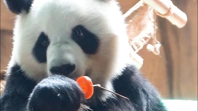 宝宝能有什么坏心思，宝宝只是不爱吃