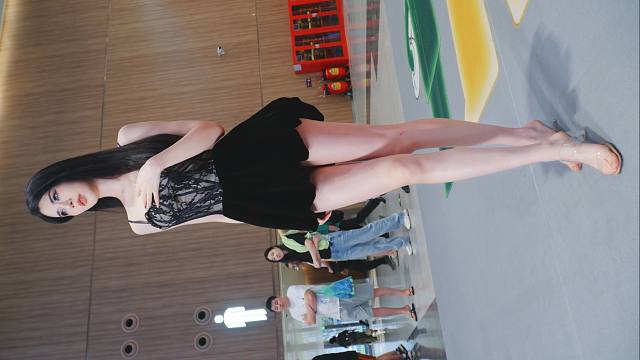 【桑桑Crow】2024粤港澳大湾区车展 车模 110