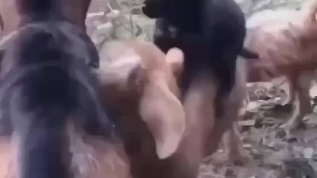 不信你不服，没一个省油的！