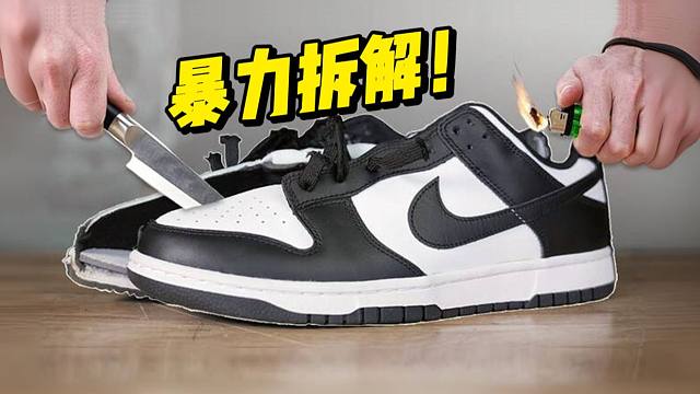 拆开正品的dunk熊猫，对比199￥莆田货，结果惊掉下巴，不仅有气垫甚至一模一样啊？？！