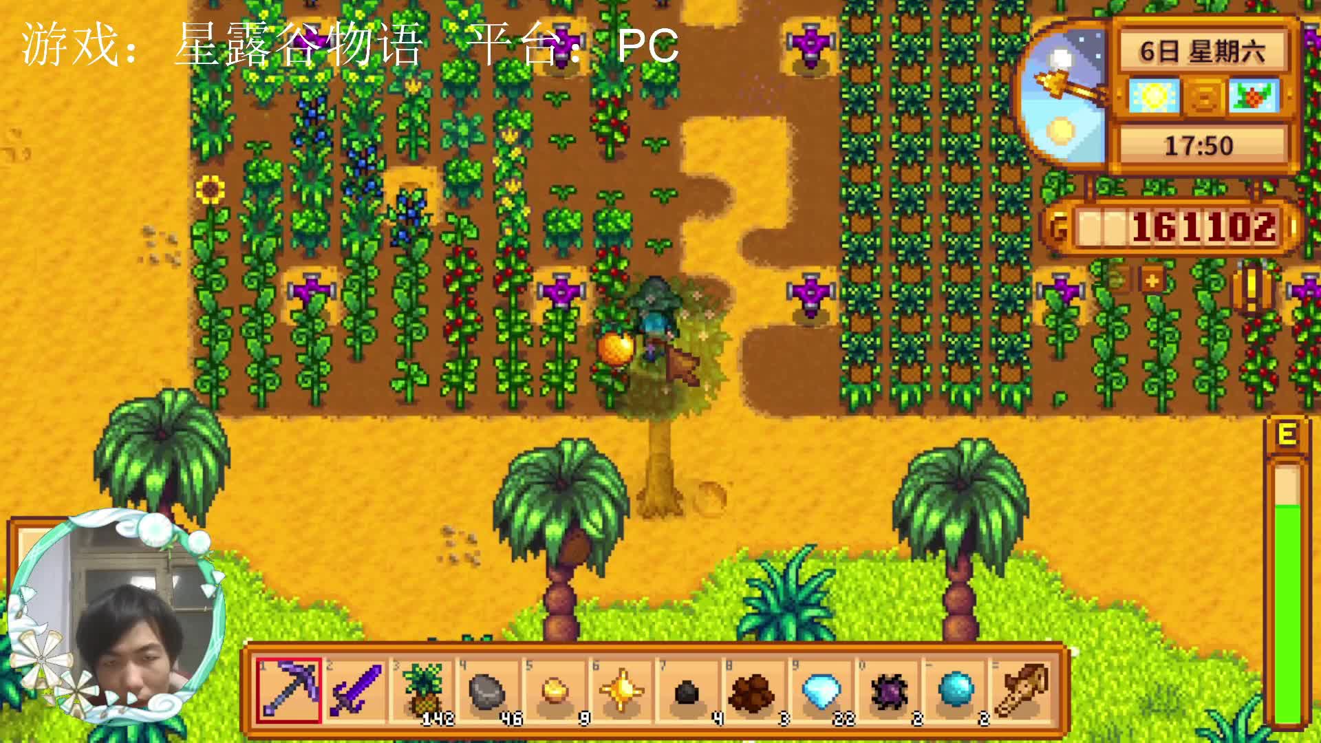 【星露谷物语】种茄子！