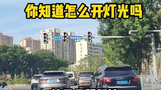 雾天行车，如何正确使用灯光#汽车知识 #每天一个用车知识