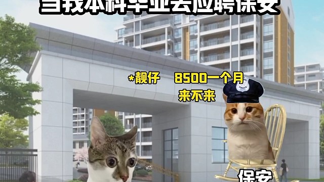 当我毕业之后去当保安