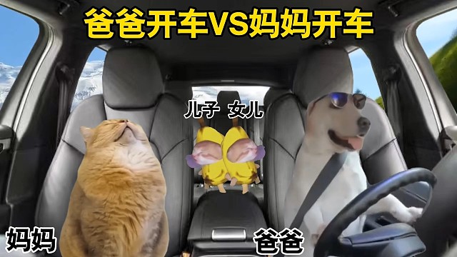 爸爸开车VS妈妈开车