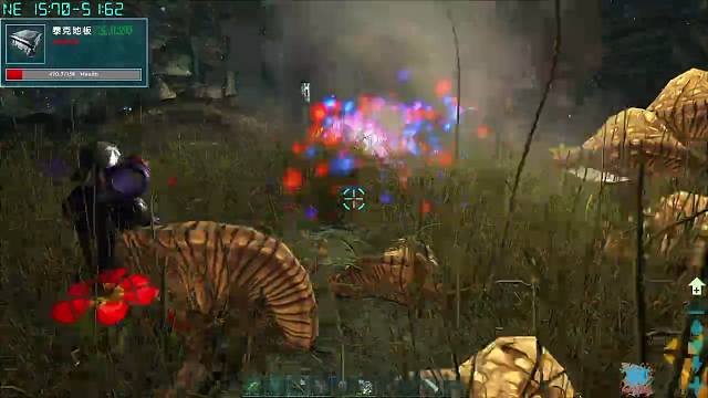 欢迎光临~！~！