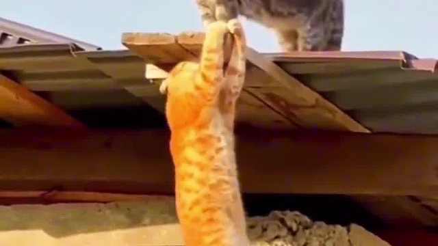 你的冷漠让我感到无比的失落。