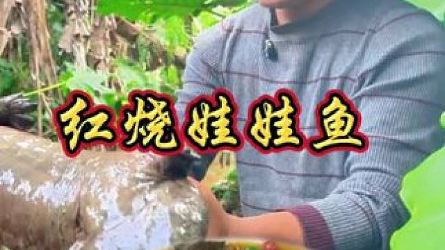 娃娃鱼的叫声 差一点把我的魂吓没了 幸好发现是娃娃鱼 #我的乡村美食记忆 #农村生活 #乡村味道 #