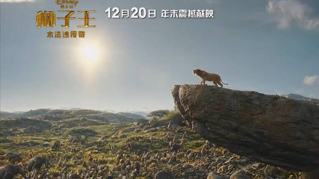 《狮子王：木法沙传奇》中文定档预告片