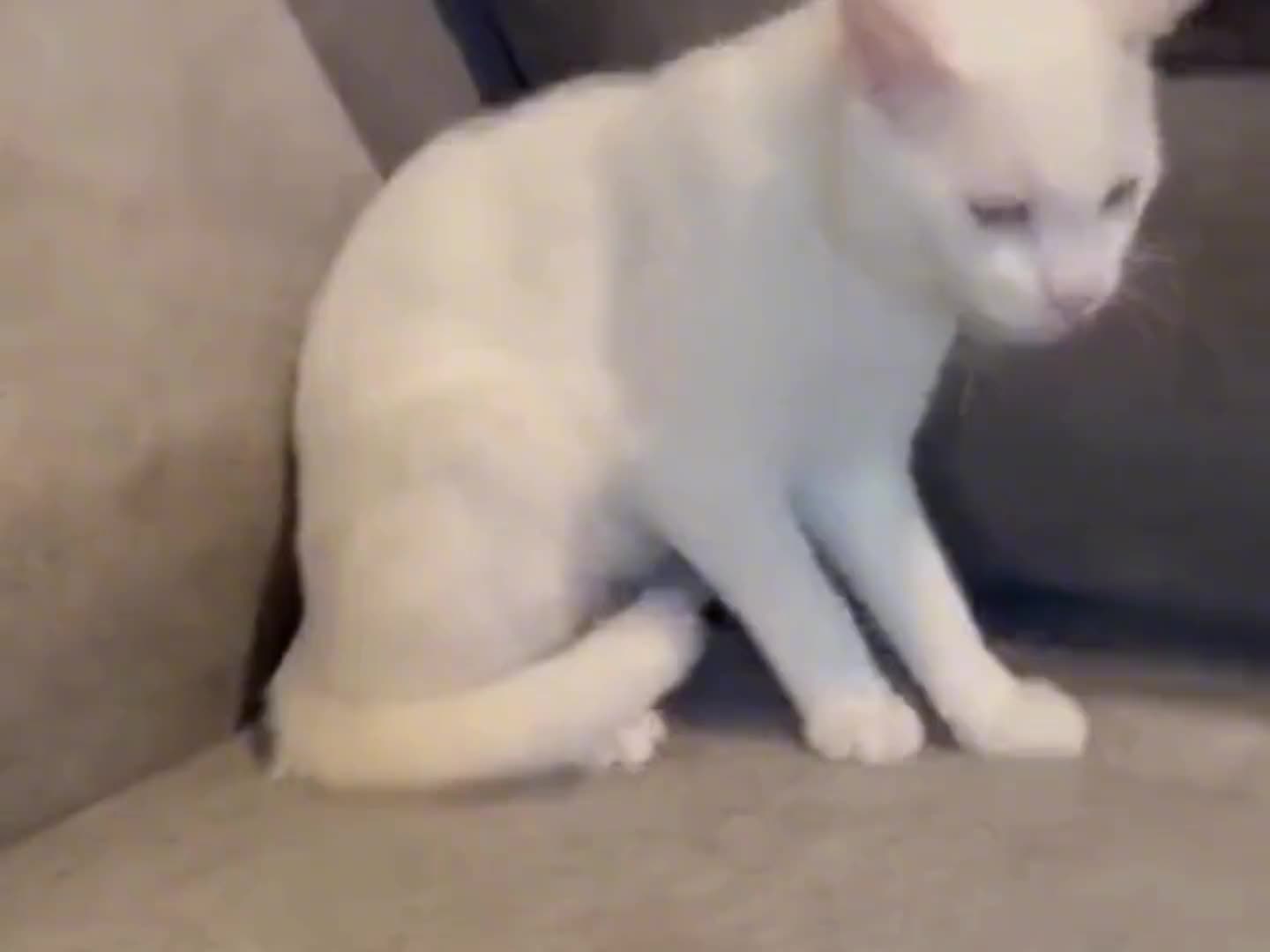 前一刻还好好的，下一秒就出洋相。