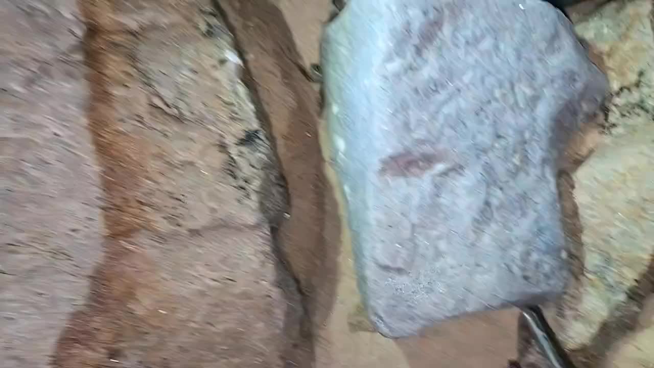 赶海抓螃蟹，你别说还挺有意思！