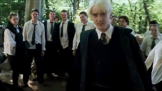 不懂就问，他俩在眉目传情吗