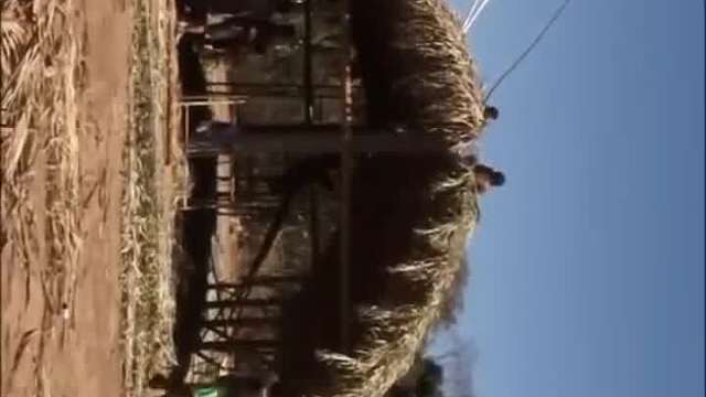 国外街头整蛊恶搞 (983)