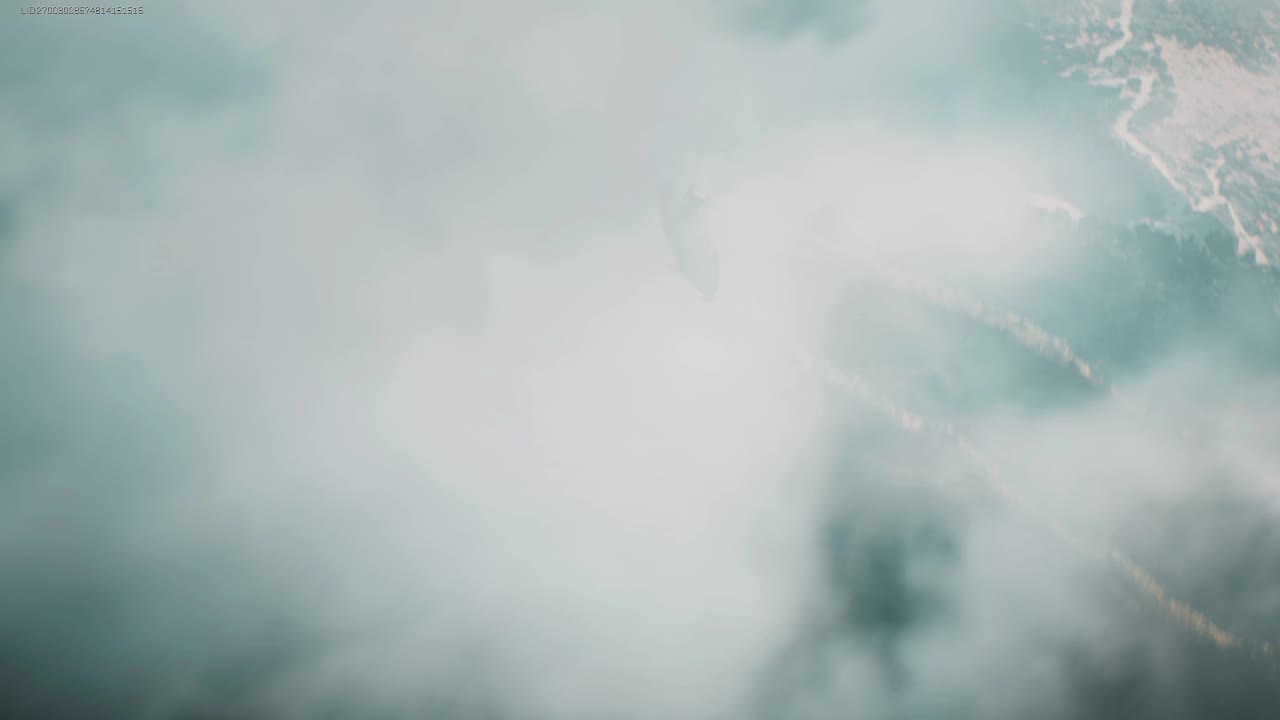 欢迎来到我的直播间-片段3