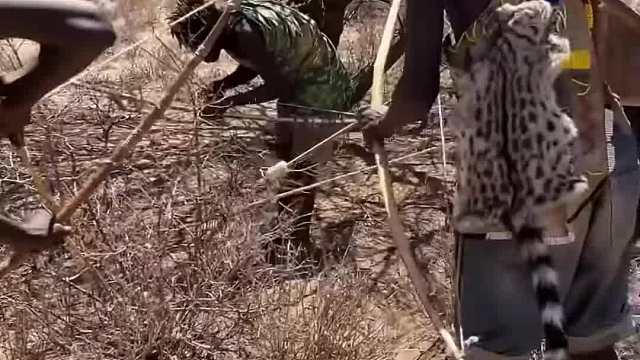 有人饿抓鼠，有人富吃肠