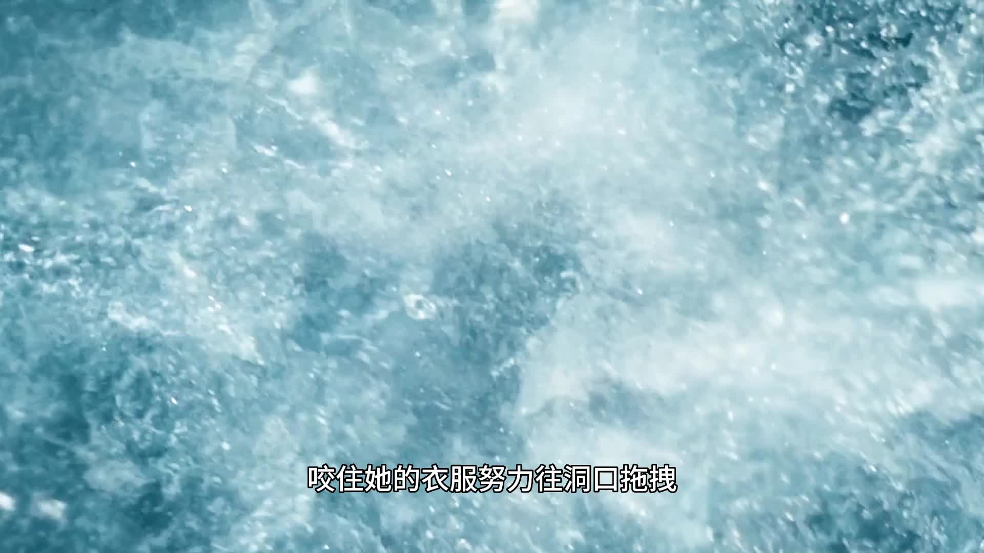 一口气看完《野性的呼唤》，有这样的狗一生足矣