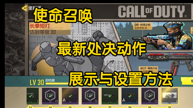 使命最新处决动作展示以及设置方式，感谢关注