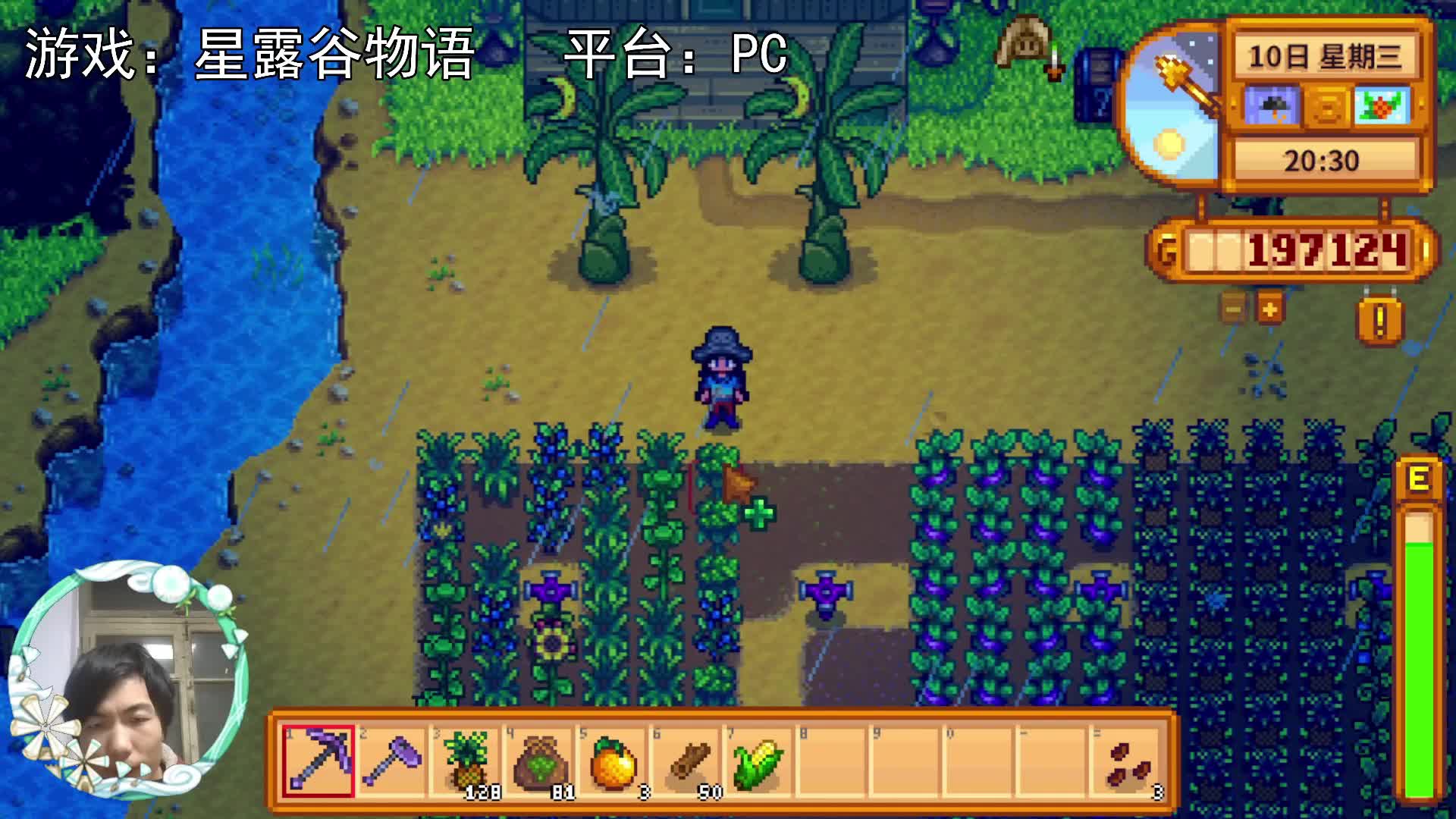 【星露谷物语】第五排，种西兰花！