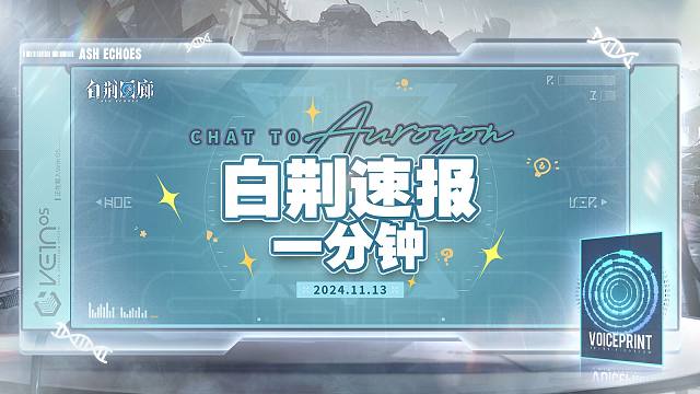 《白荆速报一分钟》20241113 12:00