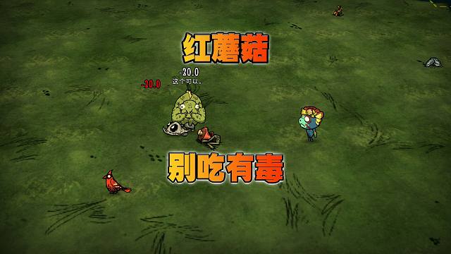 饥荒联机版：红蘑菇是一种很厉害的武器