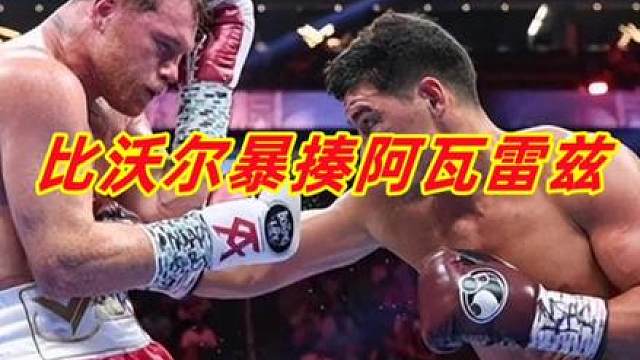 拳王比沃尔组合拳暴揍阿瓦雷兹，打得他没脾气，技术大师真厉害