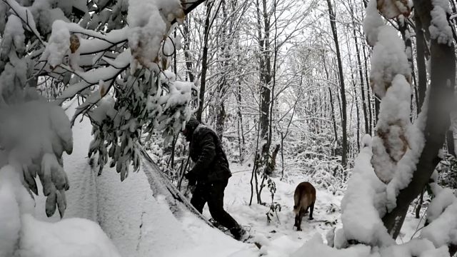 暴风雪来袭，小伙带着狗狗荒野露营，在寒冷的荒野过夜