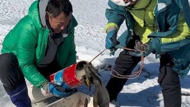 #户外捕鱼 #好多鱼