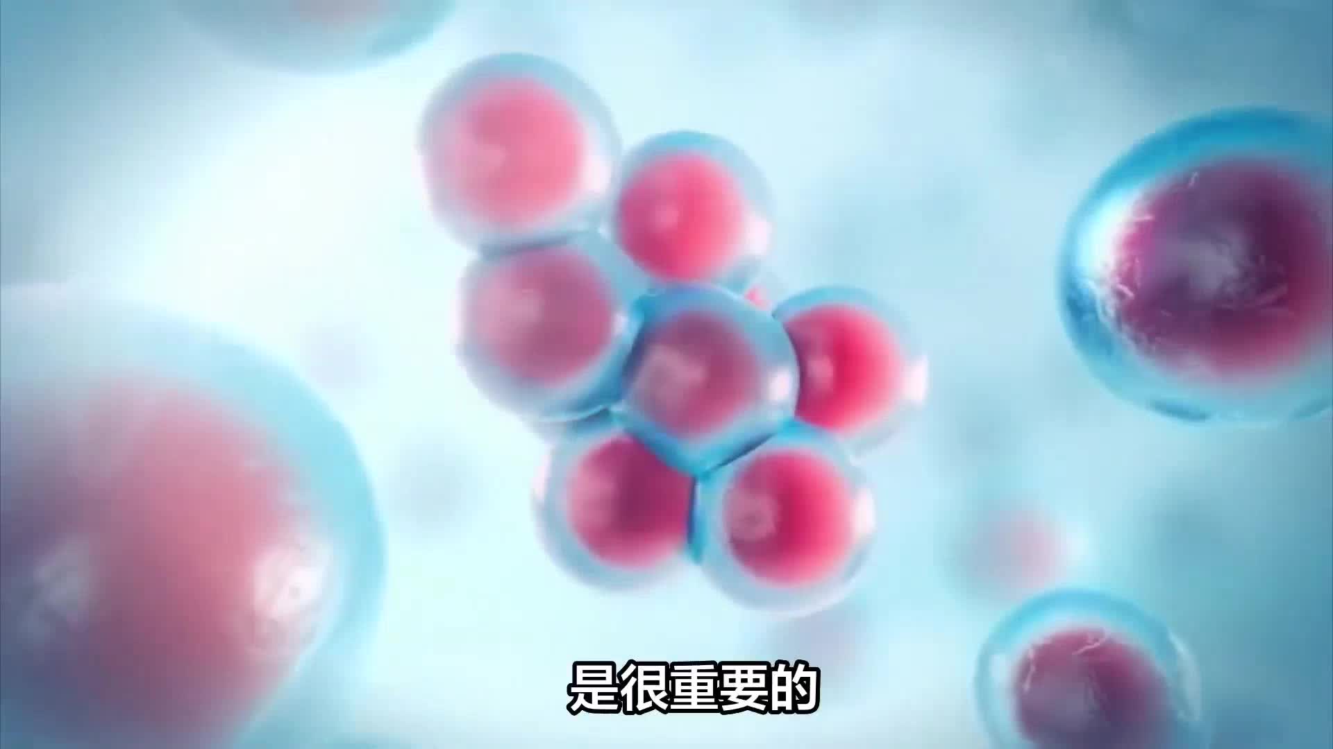 提高免疫力，应该怎么吃？