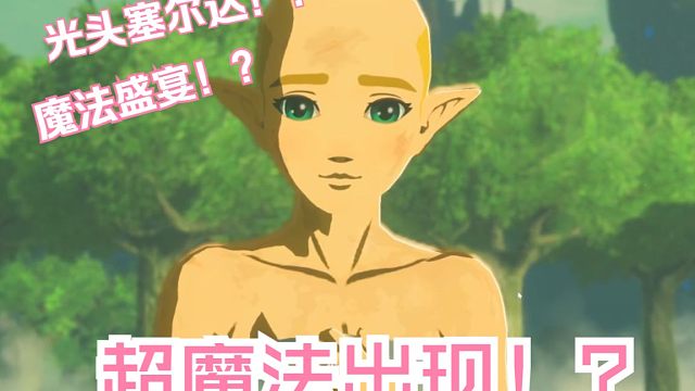 什么！光头塞尔达的魔法盛宴！你要全见过算我输。