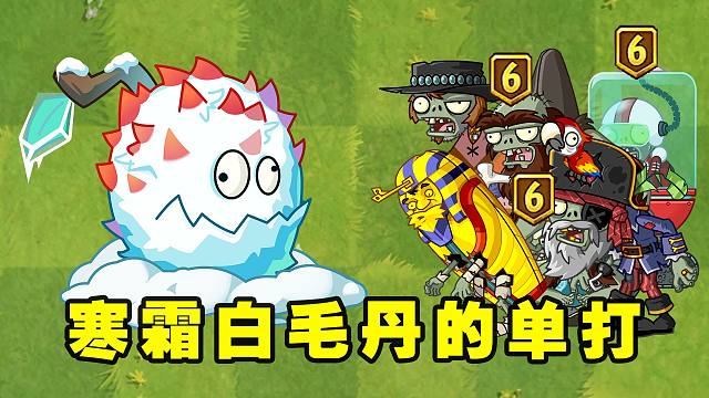 植物大战僵尸：寒霜白毛丹都能打败哪些六阶僵尸呢？