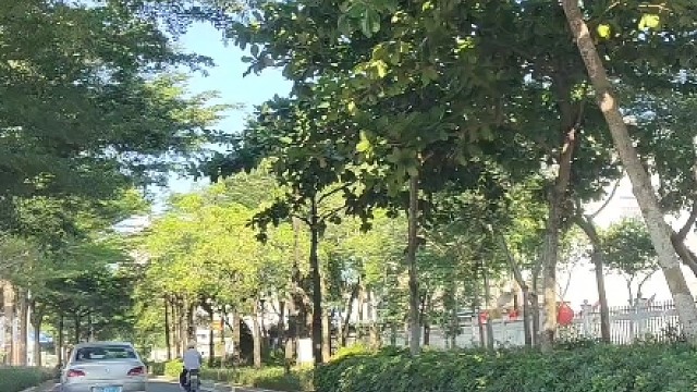 安全带不是只是用来开车的，他还隐藏这几大功能#每天一个用车知识 #汽车知识 #安全带