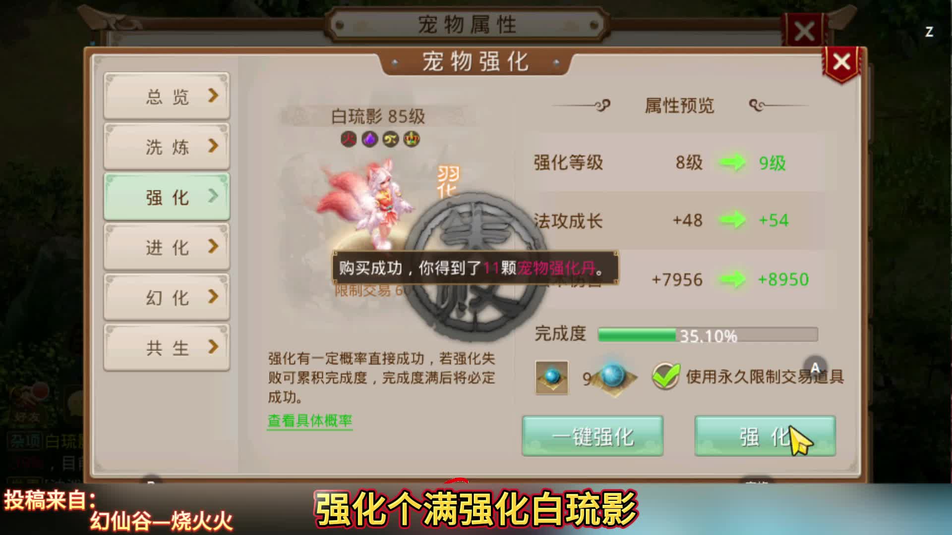 强化个满强化白琉影