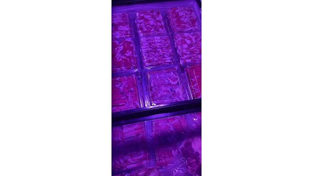 “精选牛羊肉，源自天然牧场。美味不可挡，健康共畅享。”