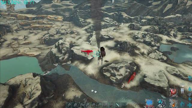 欢迎光临~！~！