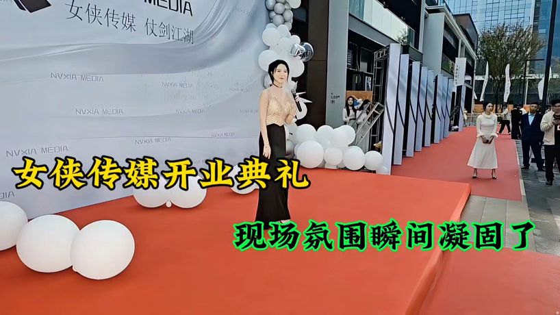 執(zhí)劍畫浮塵的直播