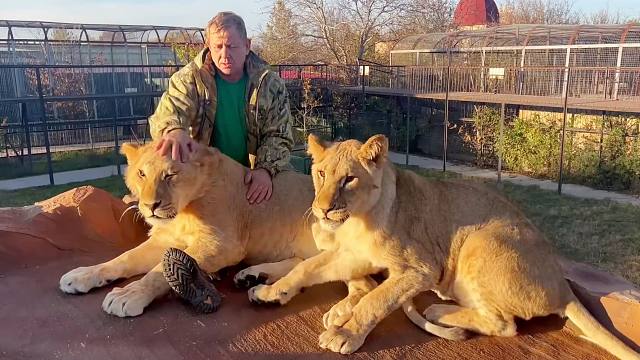 少年狮子的爱太沉重，压得我喘不过气！