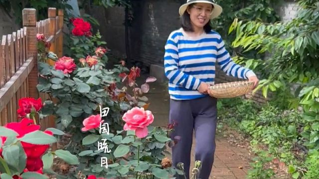 让自己快乐的方式有很多种，我只喜欢种菜